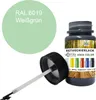 Reparaturlack Lackstift RAL Lack Pinselflasche 50ml. Farbe Produktbild-Vorschau 1