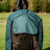 Horseware Amigo Ripstop 900D Lite 0g Turnout Couverture Voir les images du produit 13