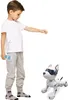 Power Puppy – Mon chien robot Interactif Voir les images du produit 9