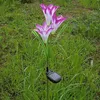 Solar-powered LED flower lights are planted in a grassy area. Anteprima dell’immagine prodotto