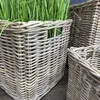 Rattan Pflanzkorb Set 3 Stück Kubu Grau quadratisch mit Produktbild-Vorschau 5