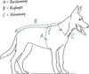 Hunter 46366, Hund, Zuggeschirr, L, Schwarz, Rot, Nylon, Produktbild-Vorschau 9