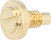 A close-up studio shot of a brass screw. Produktbild-Vorschau