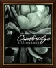 A close-up of a succulent plant with text overlay advertising a picture frame. Produktbild-Vorschau