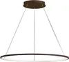 A modern ring-shaped pendant light fixture. Náhled obrázku produktu