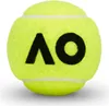 Dunlop Tennisbälle Australian Open Gas gefüllte 4er Dose Produktbild-Vorschau 7