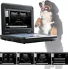 Veterinární digitální přenosný ultrazvukový skener VET Náhled obrázku produktu 4