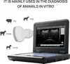 Veterinární digitální přenosný ultrazvukový skener VET Náhled obrázku produktu 3