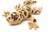 Cornelissen - Peluche - Gecko léopard - 27 cm Voir les images du produit 1