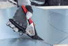 Bessey Bessey Erdi Ideal pravé strihacie nožnice - D39ASS Náhľad obrázku produktu 6