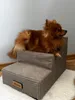 Gradini per cani, Per animali malati e anziani, Ausilio per Anteprima dell’immagine prodotto 3