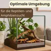 Terrarium 30x30x30 cm Schnecken Spinnen Amphibien Glas Produktbild-Vorschau 2