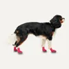Scarpe per cani Goo-eez Lites rosso/nero - confezione da 4, Anteprima dell’immagine prodotto 5