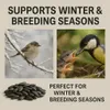 Sonnenblumenkerne 25kg Schwarz Naturrein Wildvögel Pferde Produktbild-Vorschau 5