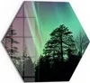 DEQORI Glasbild Echtglas 40x35 cm 'Polarlichter im Wald' Produktbild-Vorschau 1