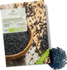 Graines de cumin noir- Graines d'herbes aromatiques issues Voir les images du produit 1