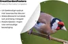 MuchoWow® Produktbild-Vorschau 4