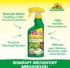 Neudorff Neudorff BioKraft Grundstoff Brennnessel AF 500 ml Produktbild-Vorschau 2