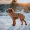 Hunter kabát pro psy Paxson, velikost:35 cm, Náhled obrázku produktu 4