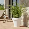 Bac à plantes en plastique L grand format - 48 cm/blanc - Voir les images du produit 6