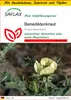 SAFLAX Anzucht Set - Benediktenkraut - Cnicus benedictus - Produktbild-Vorschau 1