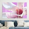 DEQORI Glasbild Echtglas 3x50x100 cm 'Magnolienblüte' Produktbild-Vorschau 4