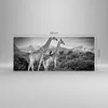 Bilder auf glas - Einteilig - Giraffen Schwarzweiß Produktbild-Vorschau 3