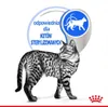 Royal Canin Indoor Sterilised W Sosie 12x85g Karma Mokra W Podgląd zdjęcia produktu 3