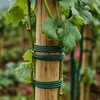 Filo da giardino Wiltec verde Ø 2 mm x 50 m, filo di Anteprima dell’immagine prodotto 2