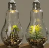 LED Tischleuchte mit Pflanze Ø 11 cm H 23 cm Glas 2-er Set Produktbild-Vorschau 1