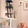 Motorola 5.0" Wi-Fi Video Baby Monitor | PIP1500 Connect Voir les images du produit 15