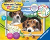 Jack Russell Welpen Ravensburger 28329 Produktbild-Vorschau 6