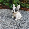 Statua da giardino Bulldog francese cucciolo Set di 3 pezzi Anteprima dell’immagine prodotto 2