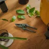 Fiskars Set de ciseaux pour le soin des plantes avec Voir les images du produit 9