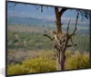 MuchoWow® MuchoWow® Gerahmtes Poster Leopard - Baum - Tier Produktbild-Vorschau 1