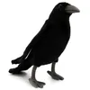 Rabe 30cm Krähe Vogel Schwarz Realistisch Deko Stofftier Produktbild-Vorschau 1