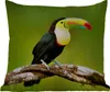 MuchoWow® Outdoor Kissen - Vogel - Tukan - Regenbogen - Produktbild-Vorschau 1