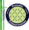 Poduszka do spania 50x70 BAMBOO ECO Senna Home, naturalna, Podgląd zdjęcia produktu 13