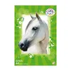 blocchetto da colorare herlitz Pretty Pets DIN A4, 70 g/m², Anteprima dell’immagine prodotto 2