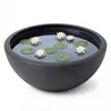BigDean XL Pflanzschale 59cm x21cm DXH ideal auch als Produktbild-Vorschau 6