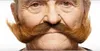 Mutton Chops Farbe: grau-weiß meliert Produktbild-Vorschau 6