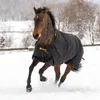 Bucas Irish Turnout Light 1200 DEN Regendecke schwarz 135 Produktbild-Vorschau 8