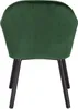 The back view of a dark green velvet armchair with black legs. Produktbild-Vorschau
