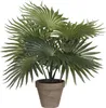 Mica Decorations Palm Kunstplant in Bloempot Stan - H40 x Productafbeelding-voorbeeld 1
