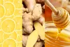 Herbatka rozgrzewająca Loyd Imbir, cytryna i miód 20 Podgląd zdjęcia produktu 10