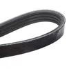 FEBI BILSTEIN Keilrippenriemen 1215mm für AUDI A4 Avant Produktbild-Vorschau 4