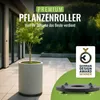 PFLANZWERK® Pflanzenroller Ø 28cm Pflanzkübel Blumentopf Produktbild-Vorschau 2