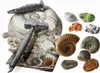 Clementoni Ausgrabungs-Set Fossilien & Mineralien Produktbild-Vorschau 4
