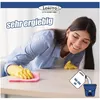 frisch und sauber Allzweckreiniger 10 Liter Produktbild-Vorschau 3