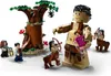 LEGO 75967 Harry Potter Zakázaný les: Stretnutie s Náhľad obrázku produktu 5